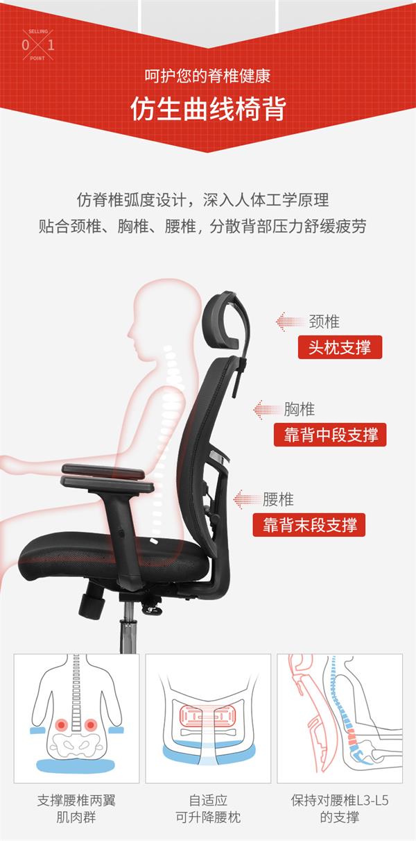 人體工學辦公椅電競椅
